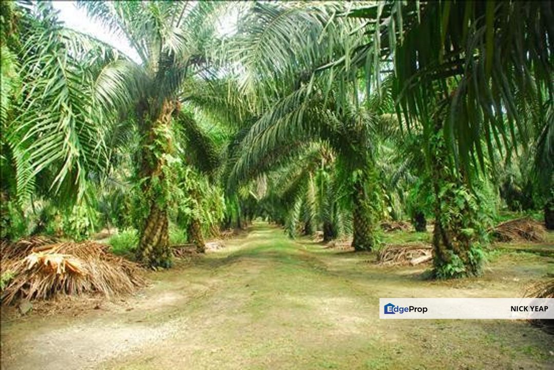 Ijok Bestari Jaya Industrial Land, Selangor, Kuala Selangor