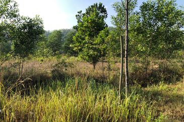 Puncak Alam Industrial Land