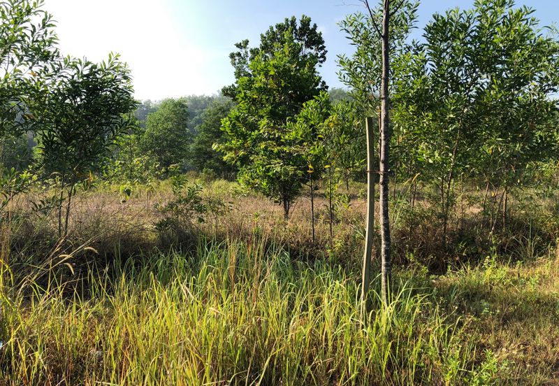 Puncak Alam Industrial Land