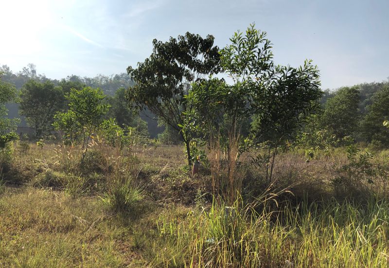 Puncak Alam Industrial Land