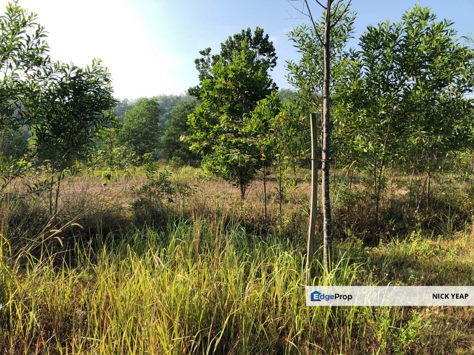 Kedah Pulau Langkawi Pulau Bombon Besar Agricultural Land, Kedah, Langkawi