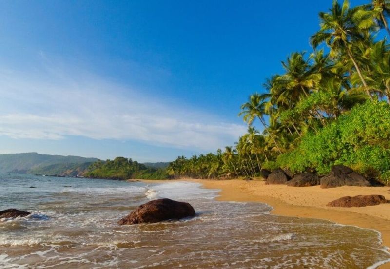 Kedah Pulau Langkawi Pulau Bombon Besar Agricultural Land