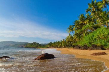 Kedah Pulau Langkawi Pulau Bombon Besar Agricultural Land