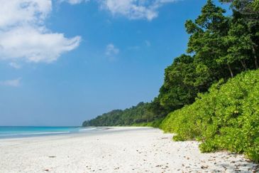 Kedah Pulau Langkawi Pulau Bombon Besar Agricultural Land