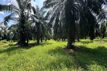 Banting @ Industrial