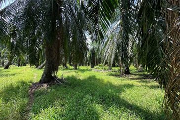 Banting @ Industrial