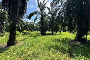 Banting @ Industrial