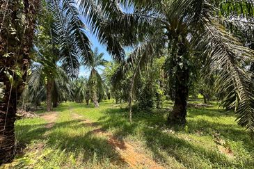 Banting @ Industrial