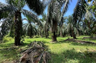 Banting @ Industrial