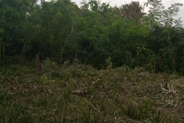 HiCom-Glenmarie Industrial Park