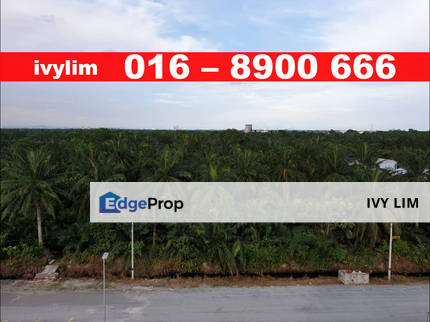 Invest Agriculture Land , Selangor, Telok Panglima Garang