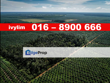 Telok Panglima Garang Agriculture Zone Industrial For Sale , Selangor, Telok Panglima Garang