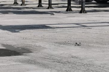 North Port Industrial Land For Rent