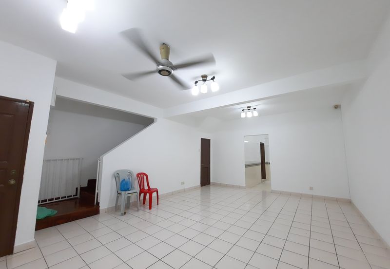 Anggerik Tainia Kota Kemuning