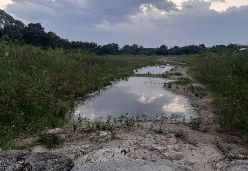 Telok Panglima Garang Agriculture Land for SALE