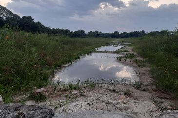 Telok Panglima Garang Agriculture Land for SALE