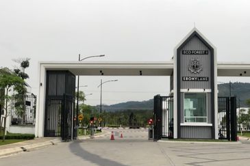 Ebonylane @ Eco Forest