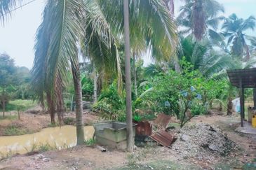 Mantin Orchard and Oil Palm Land for Sale