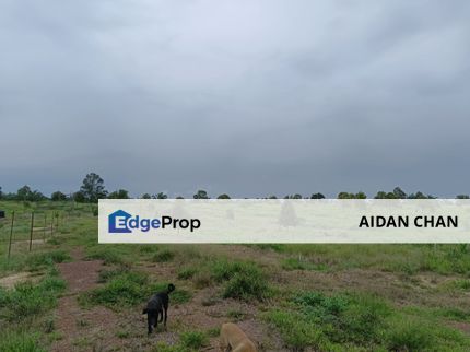 FREEHOLD AGRICULTURAL DURIAN ORCHARD LAND FOR SALE AT JELEBU, NEGERI SEMBILAN - 13.3 + ACRES, Negeri Sembilan, Jelebu