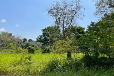 College Heights Garden Resort