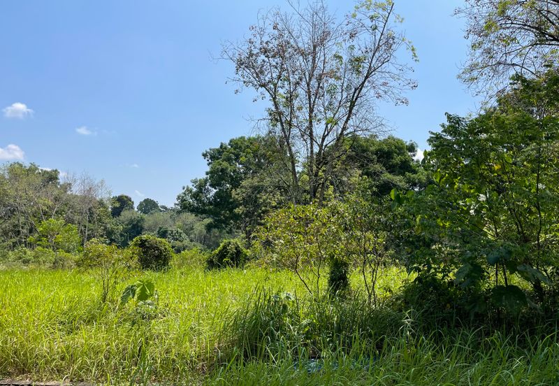 College Heights Garden Resort