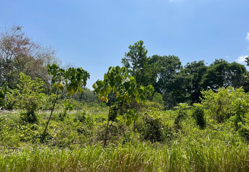 College Heights Garden Resort