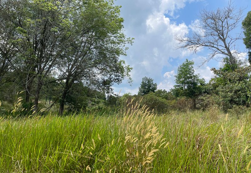 College Heights Garden Resort