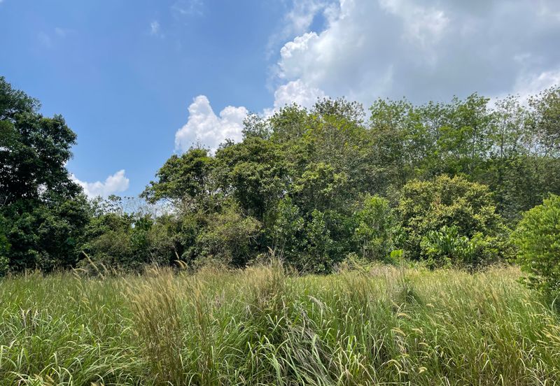 College Heights Garden Resort