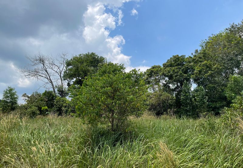 College Heights Garden Resort