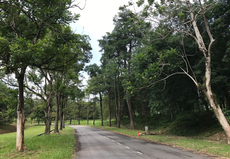 College Heights Garden Resort