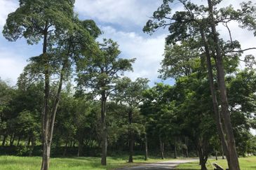 College Heights Garden Resort