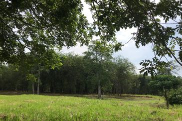 College Heights Garden Resort