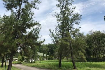 College Heights Garden Resort