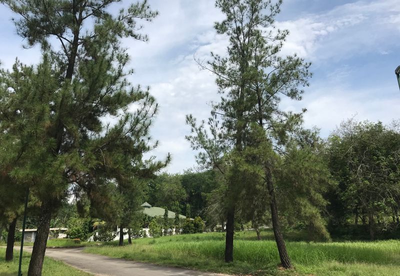 College Heights Garden Resort