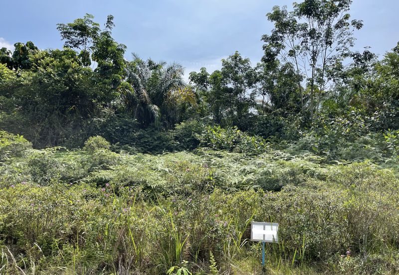 College Heights Garden Resort