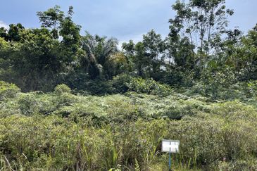 College Heights Garden Resort