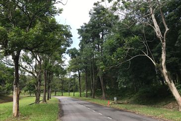 College Heights Garden Resort