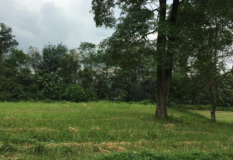 College Heights Garden Resort