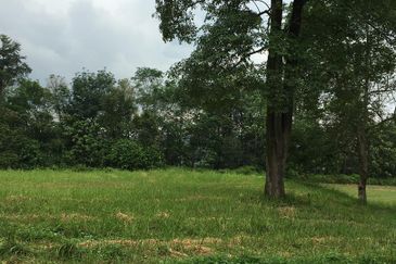 College Heights Garden Resort