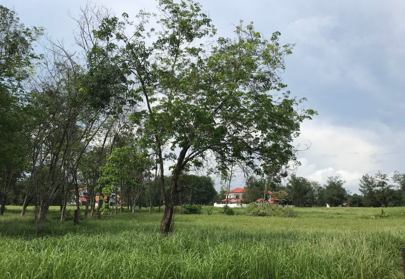 College Heights Garden Resort