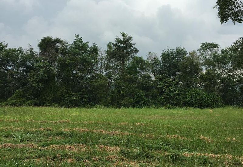 College Heights Garden Resort