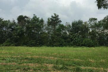 College Heights Garden Resort