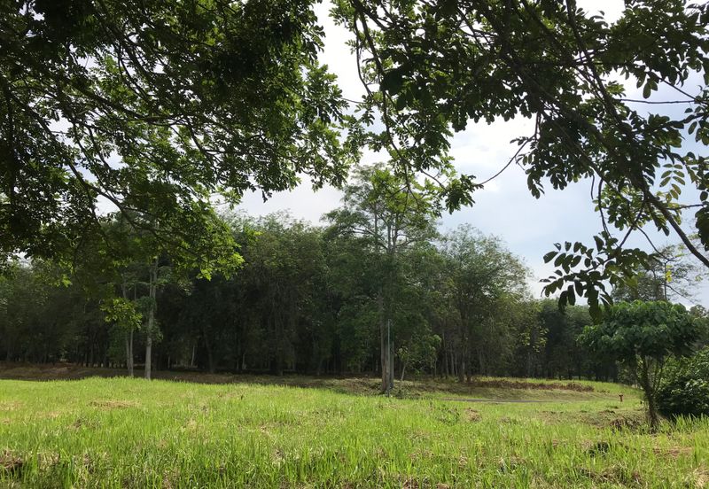 College Heights Garden Resort