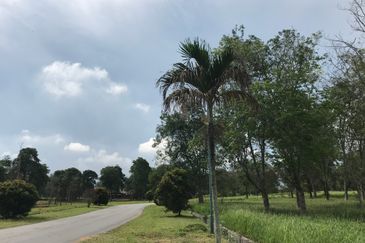 College Heights Garden Resort