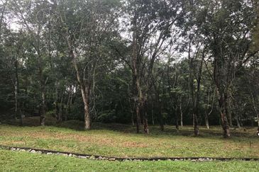 College Heights Garden Resort