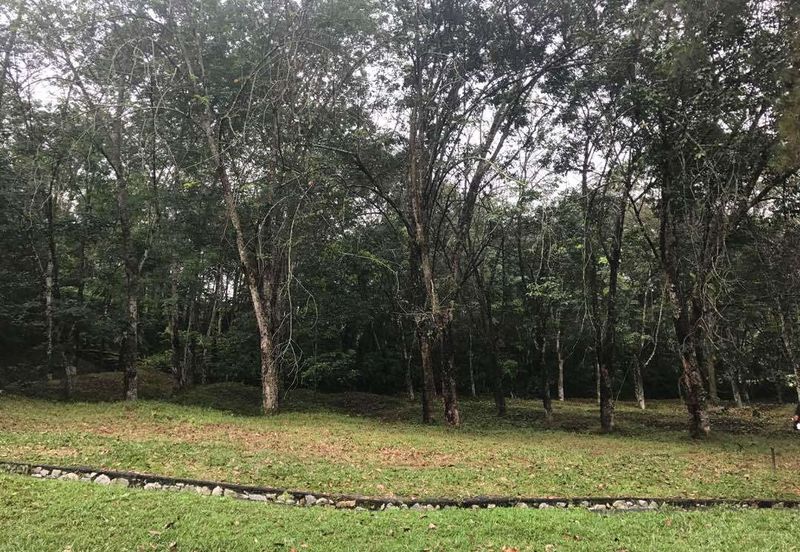 College Heights Garden Resort