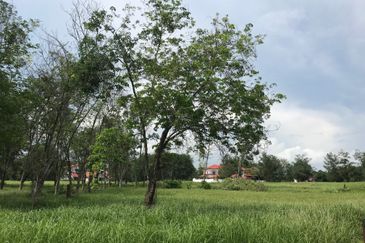 College Heights Garden Resort