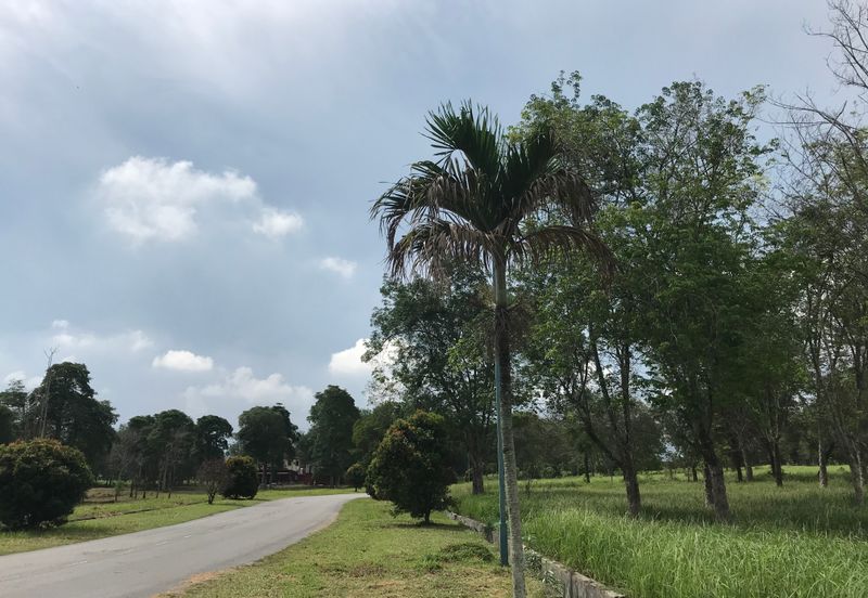 College Heights Garden Resort