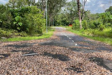 College Heights Garden Resort