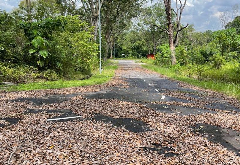 College Heights Garden Resort